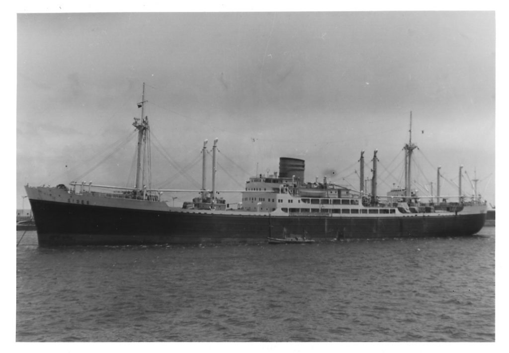 Dall’Italia a Manaus in cargo. Il viaggio psichedelico del nostro inviato Giacomo Mayer