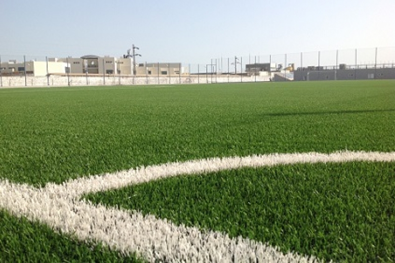 Sul Bg & Sport in edicola. Passare al campo sintetico? Conviene, ma se lo paga il Comune