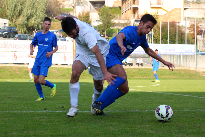 Eccellenza, tutte le rose aggiornate con le nuove quotazioni del Fantabalù