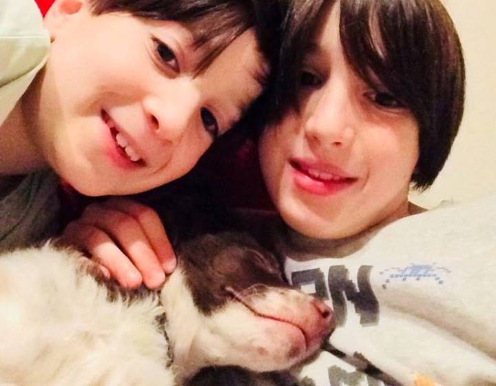 Occorre. Guida per essere felici di notte sulle colline tra Ponteranica e la Maresana con due figli ormai grandi e un cane storpio