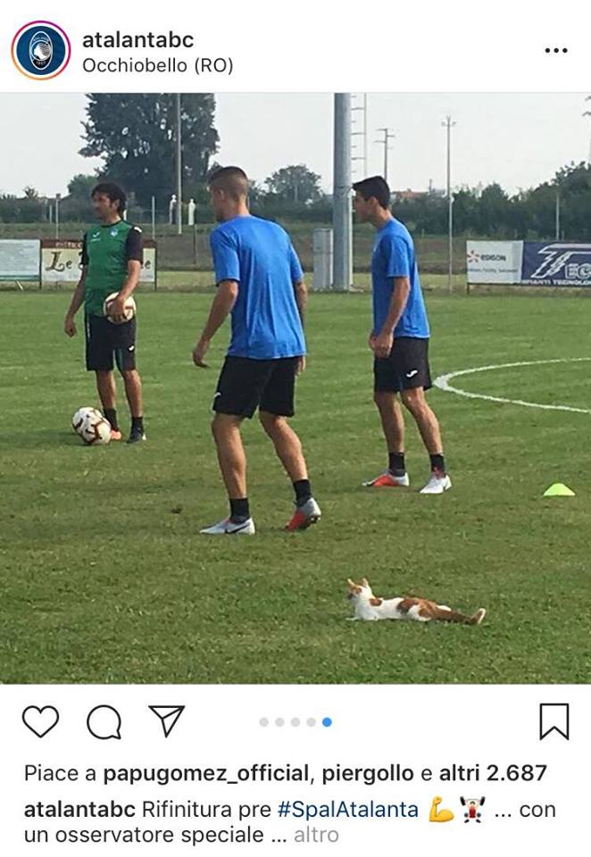 A Ferrara una Dea dalle sette vite… Occhio al gatto!