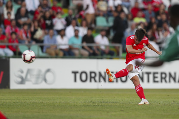 Follia lusitana: quanto costa Franco Cervi