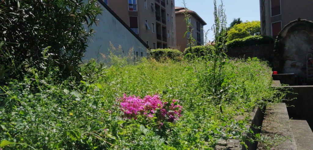 La vicina è la mia nemica. E mi sto ormai convincendo che qualcuno la paghi, assunta col ruolo di smarronatrice condominiale