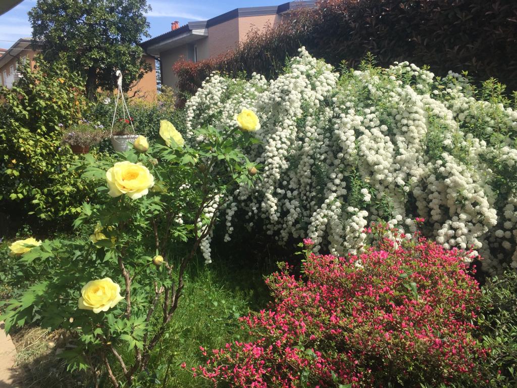 La clausura di tutti noi. Marcella, ecopsicologa da Osnago: “Ho scoperto il mio giardino”