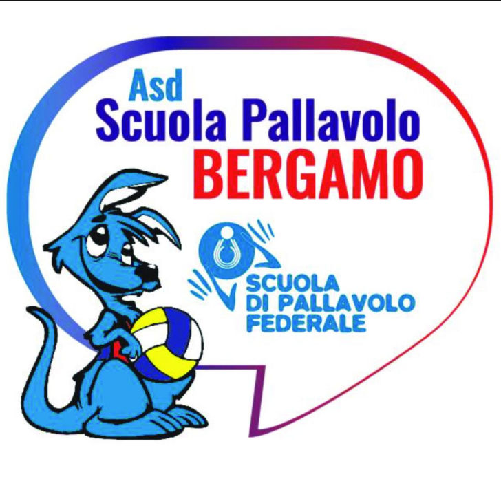 Torna la Scuola Pallavolo Bergamo.   Tutte le info