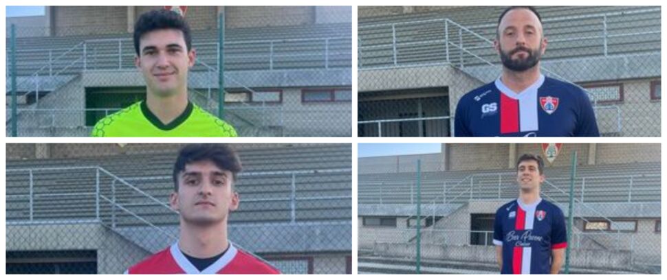 UFFICIALE – Il Fontanella piazza quattro colpi: presi Cantù, Crippa, Scardino e Spreafico