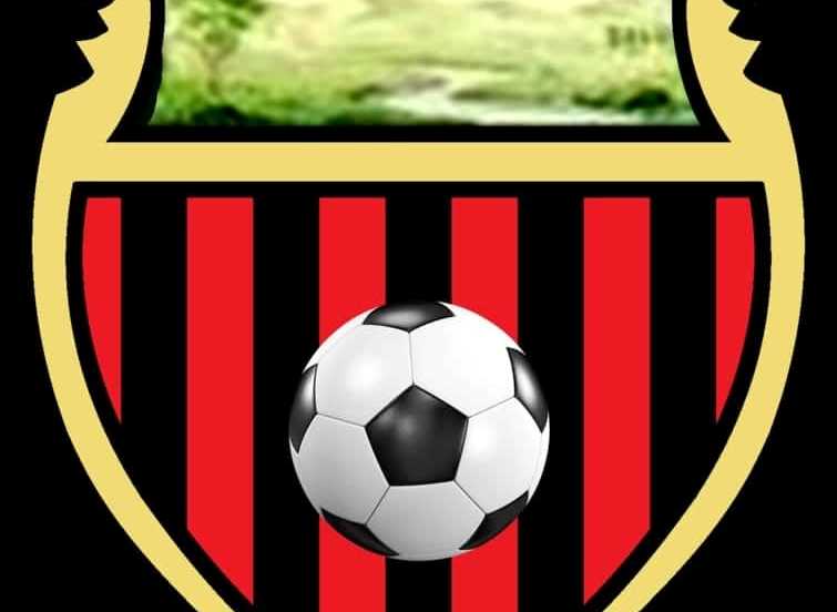 La Roncola cerca giocatori delle annate 2004, 2005 e 2006