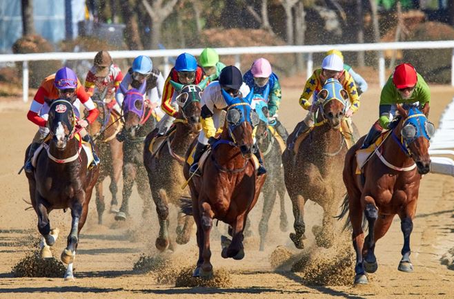 Sara Spampatti l’amazzone di Gandino è tornata! Il 2023 è partito molto bene per l’Italia dell’ippica.