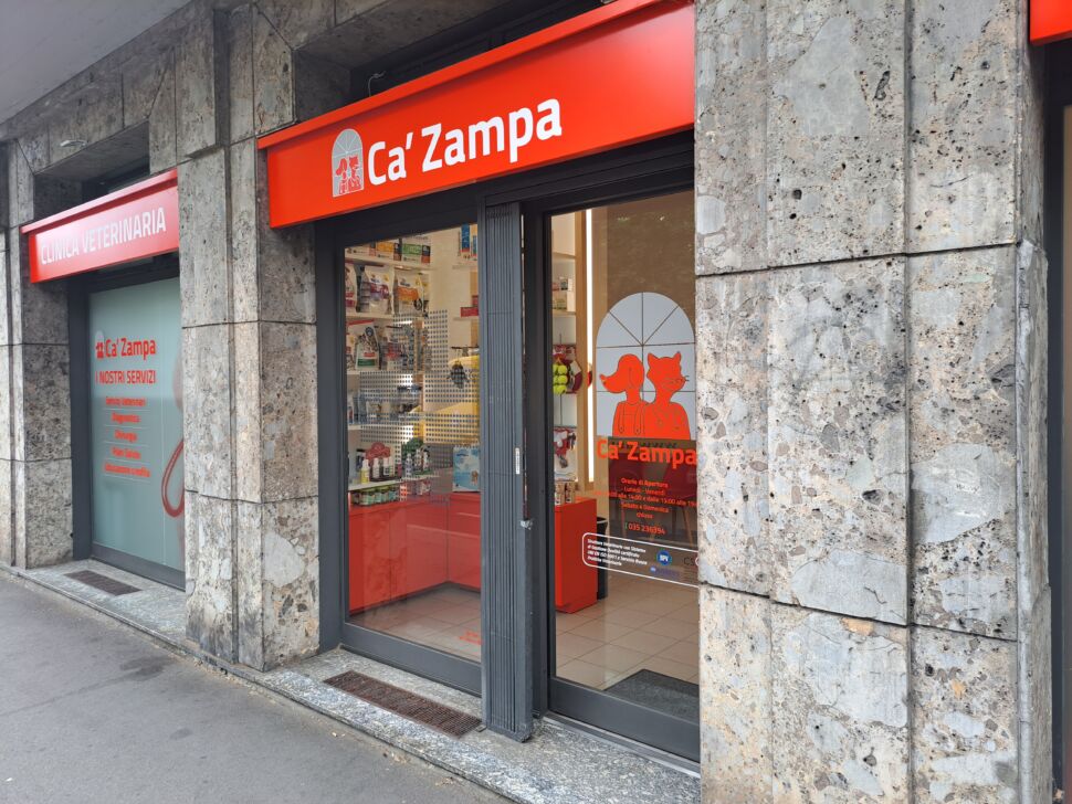 Ca’ Zampa tra i protagonisti della corridog 2023, ecco i consigli dell’educatore cinofilo per prepararsi ad una corsa a 6 zampe