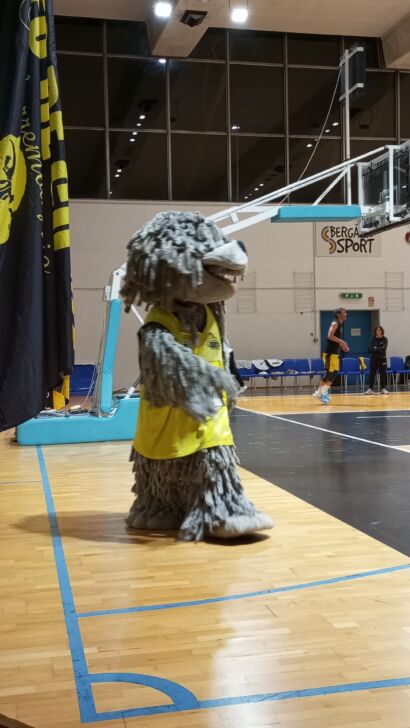 La BB14 sale sull’ottovolante ed è in testa da sola