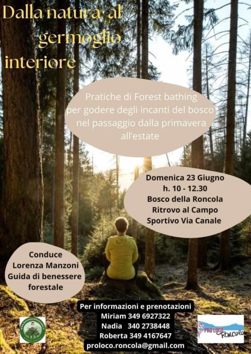 L’energia della natura: alla Roncola il forest bathing domenica 23