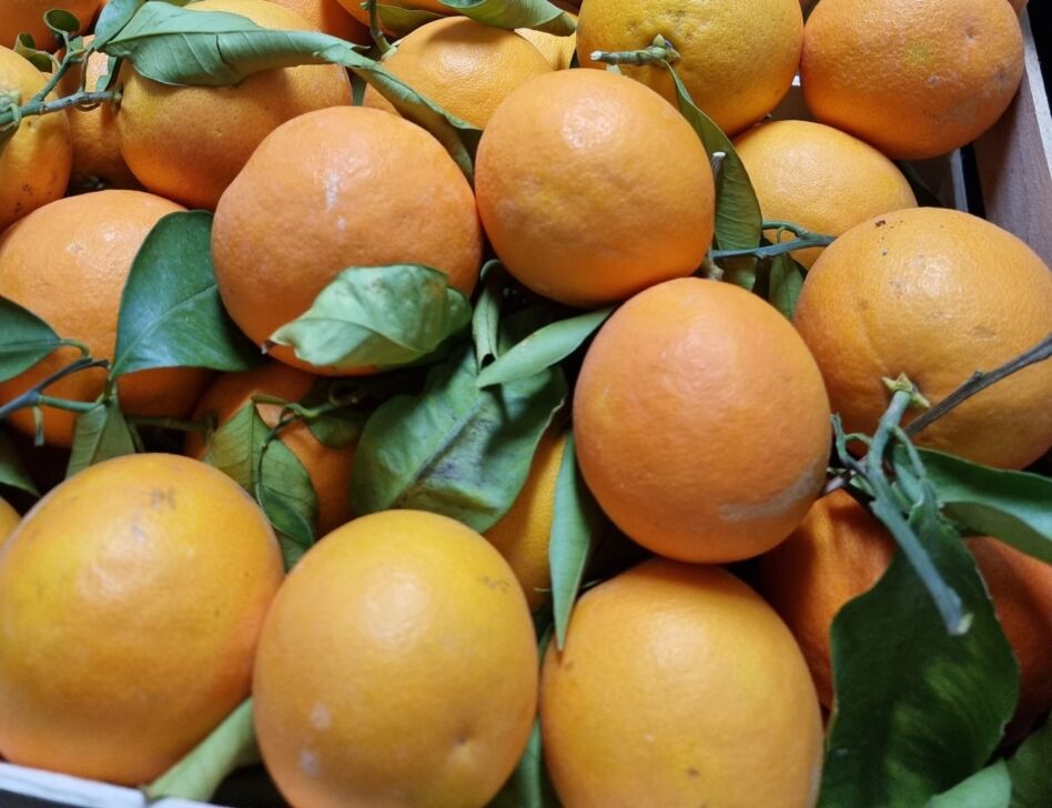 Promozione, la lotta al titolo si accende: Zingonia incontenibile (grazie alle arance del pres Cutrona)