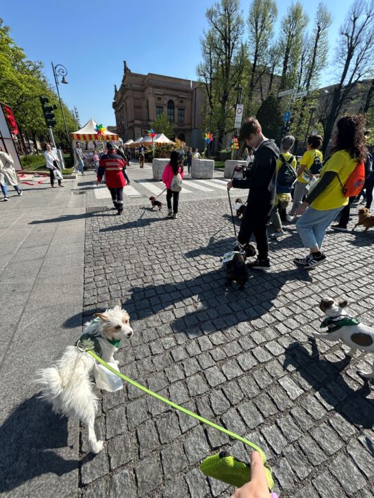 CorriDog, la celebrazione del cane guida e dell’amicizia tra bipedi e quattrozampe