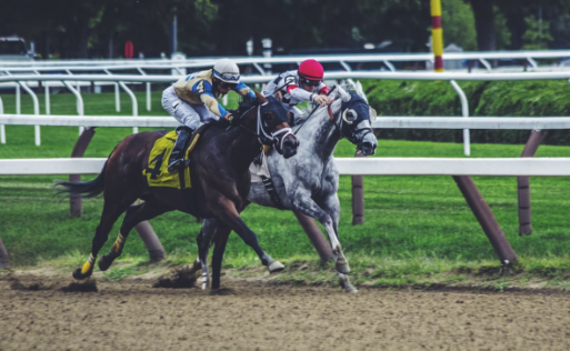 La Guida Definitiva alle Scommesse Sportive: Dai Principianti ai Professionisti