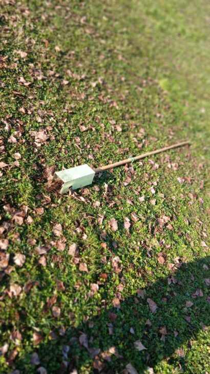 Sradicato il Gernikako Arbola dal Parco Goisis, Marcella Messina: “Sconfitti due volte”