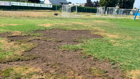 Il campo di Torre Boldone distrutto da una larva. Il pres Lodetti: “Un disastro, chiesto aiuto al comune”